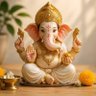 Rajendra M. Kapoor's profile picture