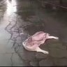 苹果钉 的头像