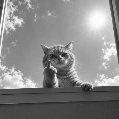 mac_koe1's profile picture