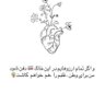 🌼 profil fotoğrafı