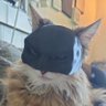 Jakob's profile picture