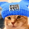 Profilbild von AssCat