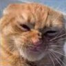 GatoFelipe's profile picture
