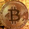 Bitcoin Ambassador's profile picture