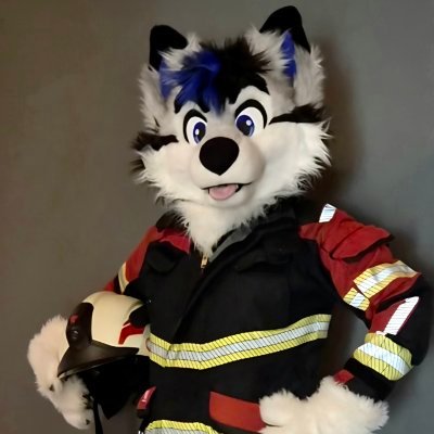 Shilo_husky's profile picture