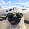 VoidXRP's profile picture