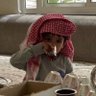 رحيل🇸🇦's profile picture