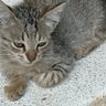 noura profil fotoğrafı