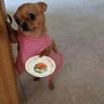 pelisa's profile picture