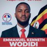Фото профиля Emmanuel Wodidi