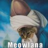 Фото профиля Mert