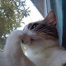 Profilbild von 𝓵𝓲𝓵𝓲
