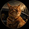 Mon Chèr🌈🐈's profile picture
