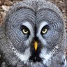 Mike profil fotoğrafı