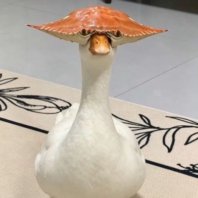 Gunny0412's profile picture