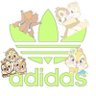 こっこ 的头像