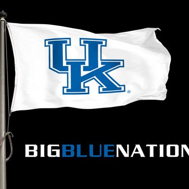 bigbluegoose's profile picture