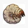 Kanii's profile picture