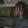 tuwan's profile picture