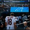 Bears Glory 💫's profile picture
