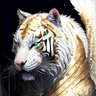 晗BaiHoo's profile picture