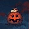 Profilbild von dom 🎃