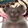 Griffin ♡s Emilie's profile picture
