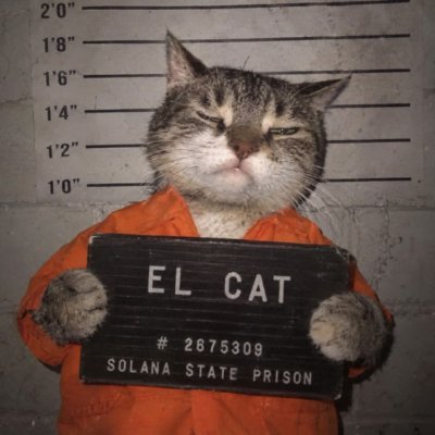 rodrigofee2's profile picture