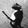 jindo profil fotoğrafı