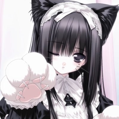 starkattie999's profile picture