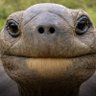 OtraCosa profil fotoğrafı