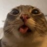 Profilbild von LSSL