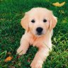 Tarpz profil fotoğrafı