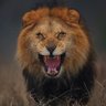 stopwaitaminute's profile picture