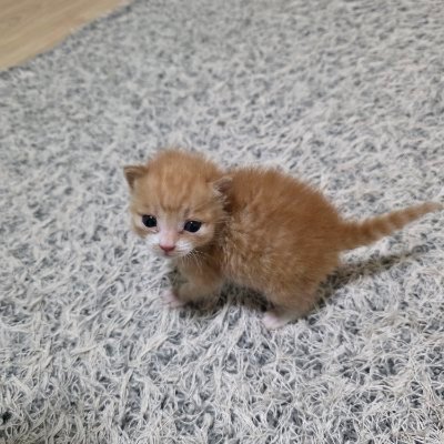 파주남's profile picture