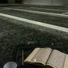 Фото профиля T