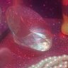 Фото профиля NJ 🌟5551✨PEARL