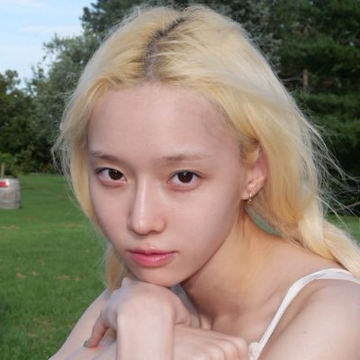 stupidcheesecat's profile picture