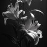 Фото профиля نُـ✿ࢪ