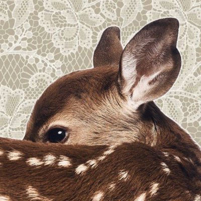 ⋆'s profile picture