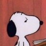 Profilbild von This You Buddy?