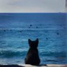 春草 profil fotoğrafı