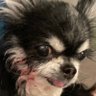 tttwww's profile picture