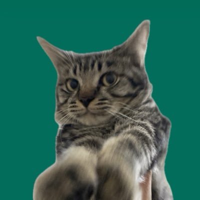 pppiiiaaa_a's profile picture