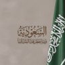 🇸🇦💙's profile picture