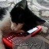 $ profil fotoğrafı