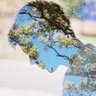 متأمل's profile picture