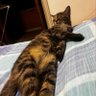 Profilbild von Matteo