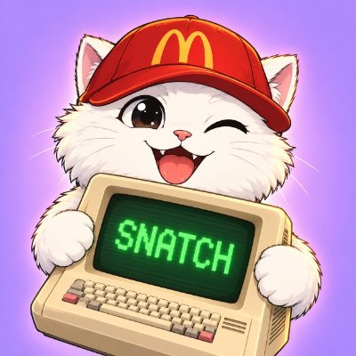 0x_snatch's profile picture