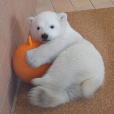 iceblackt197's profile picture